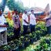 Upaya Mewujudkan Pekarangan Pangan Lestari (P3L) Bumdes Makmur Abadi Bersama Pemdes Gegesik Lor, Bagikan Tanaman Hortikultura Ke Warga.