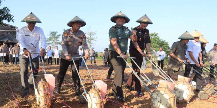 Dukung Asta Cita Presiden Prabowo, Polres Indramayu Kolaborasi Tanam Jagung di Petak 18A RPH Cijambe