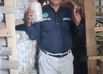 Kolaborasi Pemdes Pasuruan Bersama Kelompok Tani Hutan Sumber Makmur Dalam Membudidayakan Jamur Tiram