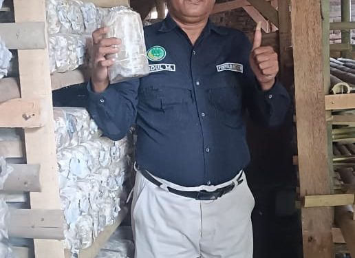 Kolaborasi Pemdes Pasuruan Bersama Kelompok Tani Hutan Sumber Makmur Dalam Membudidayakan Jamur Tiram