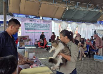 Vaksinasi Rabies Gratis untuk Kucing Warnai Indramayu Festival & Reptil Contest