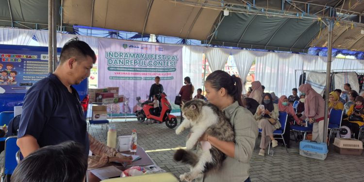 Vaksinasi Rabies Gratis untuk Kucing Warnai Indramayu Festival & Reptil Contest