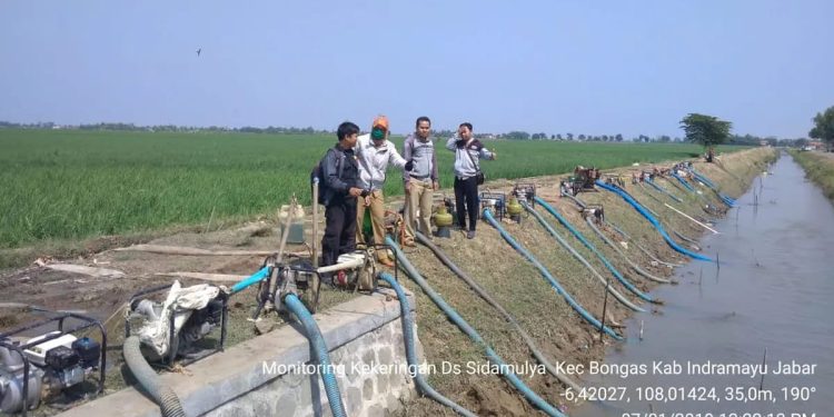 Sejumlah Petani Terancam Gagal Panen Akibat kekeringan Lahan Sawah