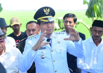 Indramayu Jaga Ketahanan Pangan, Raih Penghargaan Nasional di Usia 80 Tahun RI