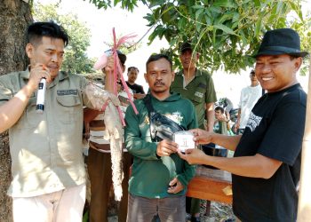 Masyarakat Bersama Pemdes Mulyasari Ramaikan Berbagai Lomba di HUT RI 80