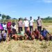 Tanam Jagung, Pemdes Kaligawe Wetan Dukung Program Ketahanan Pangan Nasional