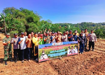 Budidaya Jagung Dan Padi, Pemdes Panambangan Siap Sukseskan Program Ketahanan Pangan Nasional