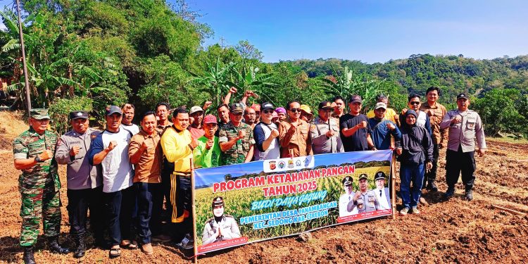 Budidaya Jagung Dan Padi, Pemdes Panambangan Siap Sukseskan Program Ketahanan Pangan Nasional