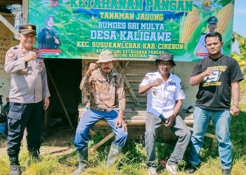 Tanam Jagung, Pemdes Kaligawe Dukung Program Ketahanan Pangan Nasional