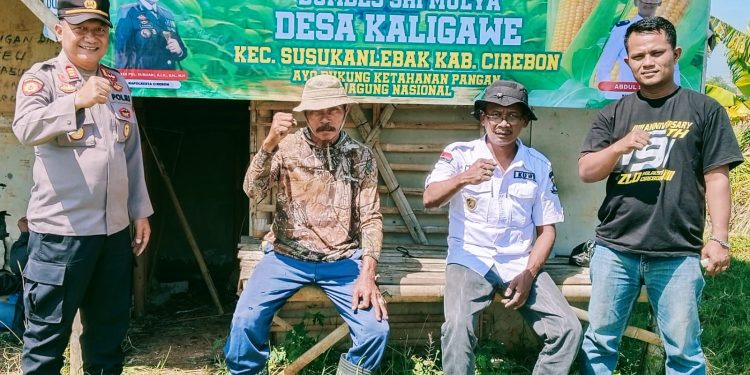 Tanam Jagung, Pemdes Kaligawe Dukung Program Ketahanan Pangan Nasional