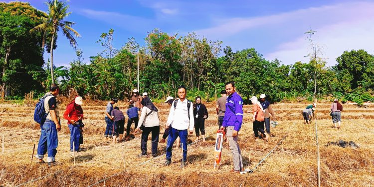 Dukung Swasembada Pangan Nasional, Pemdes Susukanlebak Gelar Budidaya Jagung