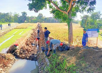 CV Alzdaf Siap Maksimalkan Rehabilitasi Jaringan Irigasi Permukaan Susukantonggoh