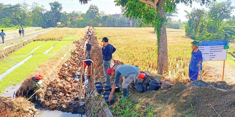 CV Alzdaf Siap Maksimalkan Rehabilitasi Jaringan Irigasi Permukaan Susukantonggoh