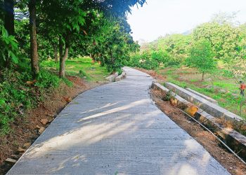 Upland Project JUT Desa Panambangan Jadi Sorotan, Dinas Pertanian Diminta Serius Lakukan Pengawasan