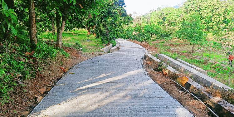 Upland Project JUT Desa Panambangan Jadi Sorotan, Dinas Pertanian Diminta Serius Lakukan Pengawasan