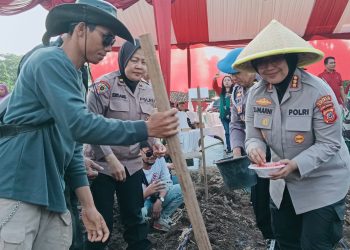 Polresta Cirebon Bersama Pemdes Se Kecamatan Lemahabang Tanam Jagung Pipil Serentak