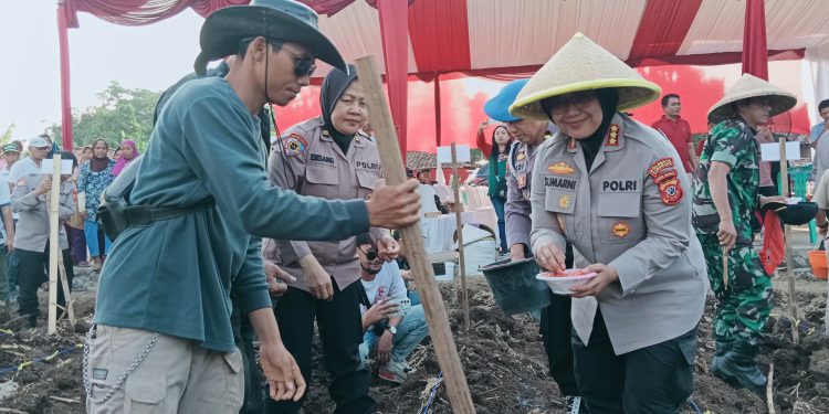 Polresta Cirebon Bersama Pemdes Se Kecamatan Lemahabang Tanam Jagung Pipil Serentak
