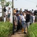 Lahan Sawah Yang Dikelola PT. BWI Menjadi Perhatian Saat Bupati Meninjau 