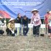 Pemkab Cirebon Tanam Sorghum, Alternatif Pengganti Beras untuk Wujudkan Ketahanan Pangan