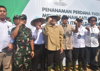 Budiman Sudjatmiko Kick Off Program “Tanam Sekali, Panen Empat Kali” di Cirebon: Inovasi Digital untuk Entaskan Kemiskinan Petani
