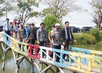 Desa Cemara Kulon Gunakan PLTS Untuk Pengembangan Wisata dan Lingkungan