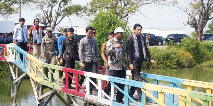 Desa Cemara Kulon Gunakan PLTS Untuk Pengembangan Wisata dan Lingkungan