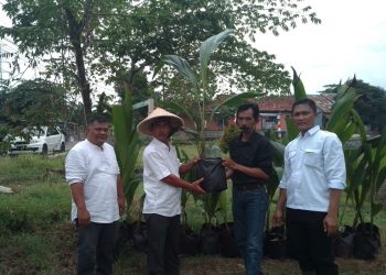 Pemdes Mandala Ucapkan Terima Kasih Atas Bantuan Bibit Kelapa