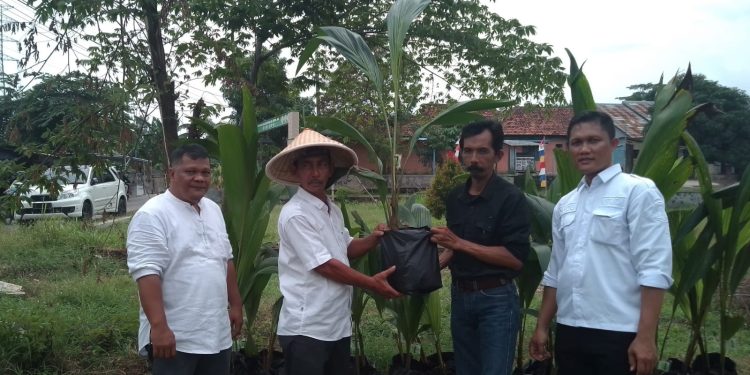 Pemdes Mandala Ucapkan Terima Kasih Atas Bantuan Bibit Kelapa