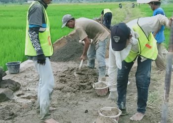 P3A Mitra Cai Gapoktan Cikahuripan Desa Cipanas Laksanakan Pekerjaan P3-TGAI Peningkatan Jaringan Irigasi