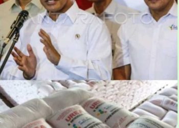 Petani Sambut Gembira Harga Pupuk Subsidi Turun 20 Persen.