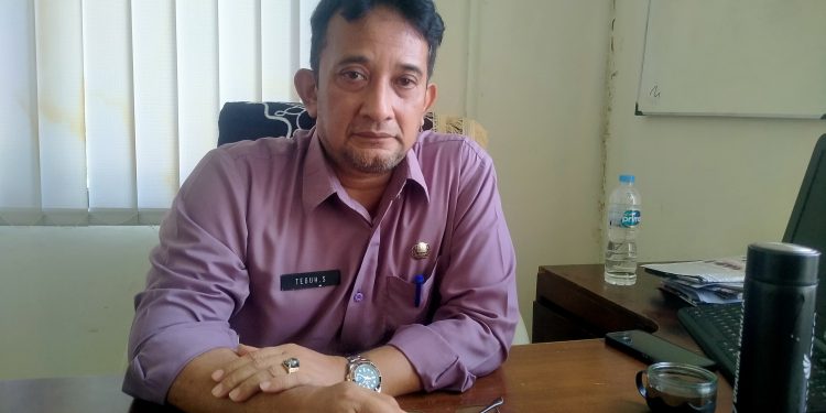 Teguh Supriyadi Fungsional Penata Perizinan Dinas Penanaman Modal dan Pelayanan Terpadu Satu Pintu (DPMPTSP) Kabupaten Cirebon