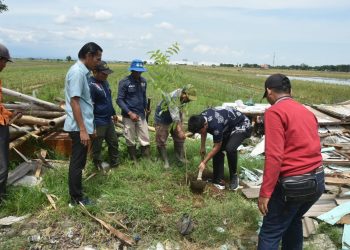 Wabup Cirebon Tanam Pohon di Jalur Playangan–Bojong Negara, Cegah Banjir dan Bangunan Liar‎