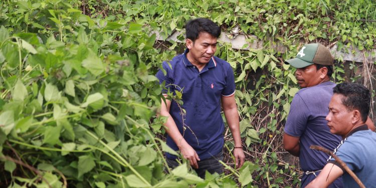 Stadion Watubelah Ramai Sapu dan Potong Rumput : Aksi “Jum’at Bersih” KONI Cirebon Tuai Pujian Publik