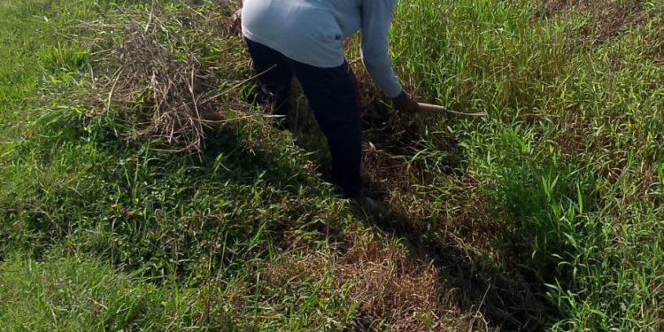 PUPR Kabupaten Cirebon Jangan Tutup Mata Adanya Saluran Skunder Yang Berada Di Desa Kalipasung 