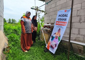 Relawan Rumah Zakat Desa Berdaya Tegalurung Monev Perkembangan Ternak Ayam Petelur