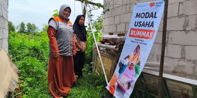Relawan Rumah Zakat Desa Berdaya Tegalurung Monev Perkembangan Ternak Ayam Petelur