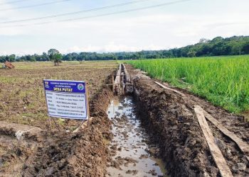 Pembangunan Jaringan Irigasi Usaha Tani Desa Putat Diduga Asal – Asalan