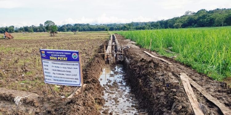 Pembangunan Jaringan Irigasi Usaha Tani Desa Putat Diduga Asal – Asalan
