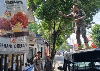 Satpol PP dan Damkar Indramayu Gencarkan Penertiban Reklame Tak Berijin
