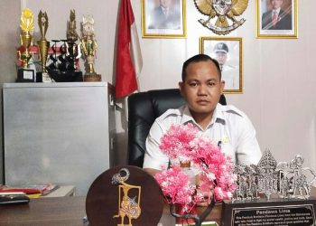Kuwu Sukiba, S.IP : Hajat Bumi Desa Plumbon, Akan Digelar Meriah Dengan Beragam Kegiatan Sosial Dan Budaya