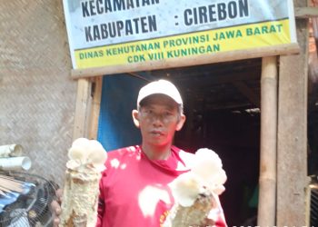 Kelompok Tani Hutan Sumber Makmur Desa Pasuruan Tagih Janji KDM Di Acara “Ngajujug Warga “