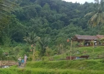 Petani Indramayu Pasang Listrik Jebakan Tikus, Mahasiswa KKN Unpad Diminta Hati-hati