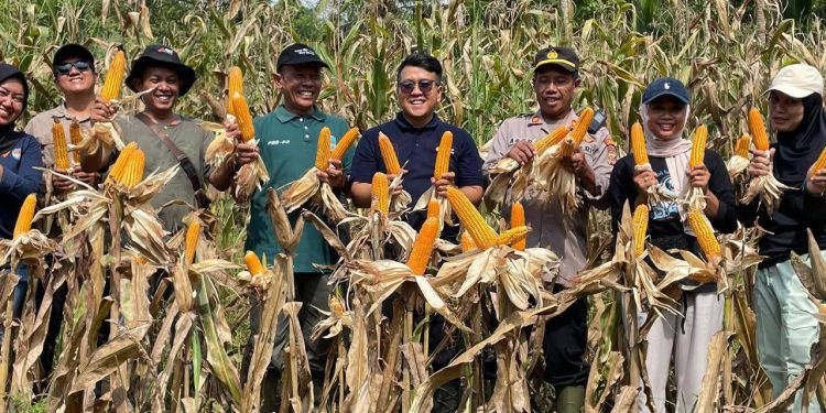 Kapolsek Langkaplancar Polres Pangandaran, AKP Asep Dadi Mulyawan Raih Penghargaan Program Ketahanan Pangan Nasional