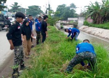 Lentera Sasak Gelar Kegiatan Penanaman Pohon dan Penyiangan
