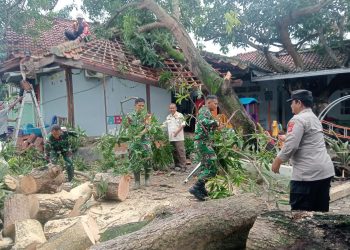 Bersama Warga, Koramil Indramayu Bersihkan Pohon Tumbang