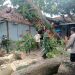 Bersama Warga, Koramil Indramayu Bersihkan Pohon Tumbang