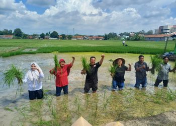 Bambang Mujiarto : Ketahanan Negara Dimulai dari Sawah, 1 Dekade MSP Indonesia Tegaskan Kedaulatan Pangan