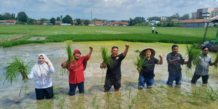 Bambang Mujiarto : Ketahanan Negara Dimulai dari Sawah, 1 Dekade MSP Indonesia Tegaskan Kedaulatan Pangan