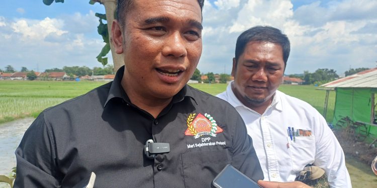 Krisis Petani Muda! MSP: Mayoritas Petani Kini di Atas 50 Tahun, Gen Z Harus Turun ke Sawah