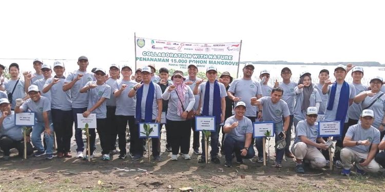 Perusahaan asal Jepang Tebar CSR di Indramayu, Tanam 15.000 Pohon Mangrove
